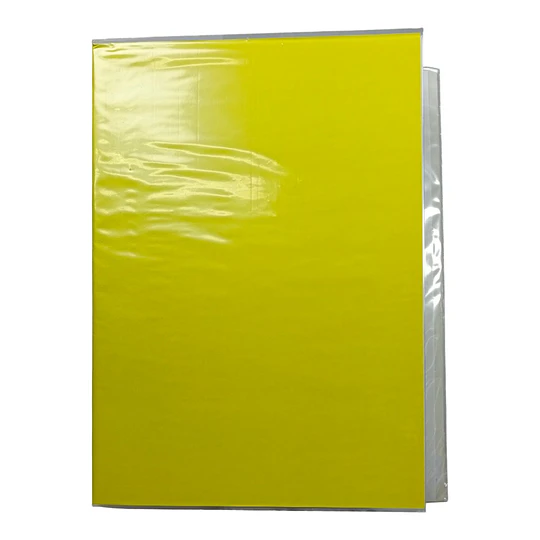CARPETA PLASTIFICADA AMARILLO