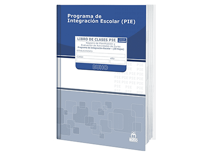 LIBRO CLASES PIE 170 Nº 2086