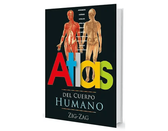 ATLAS DEL CUERPO HUMANO