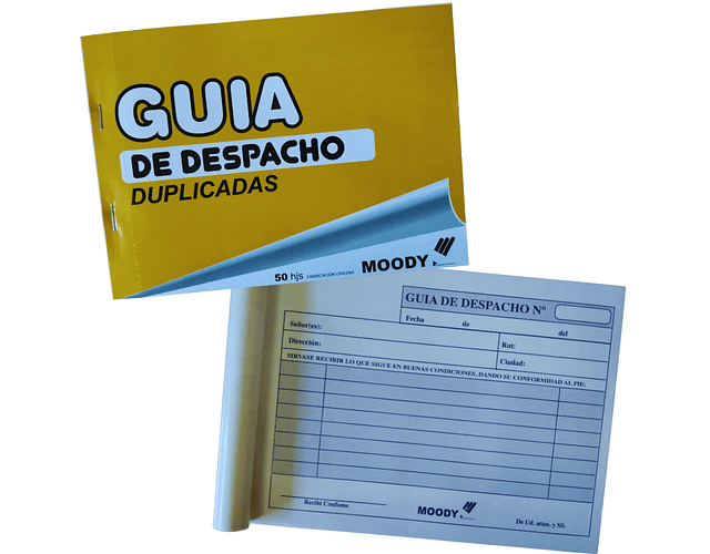 GUIA DE DESPACHO DUPLICADO 