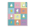 CUADERNO UNIVERSITARIO 100HJS MAT7MM MIFFY