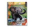 CUADERNO UNIVERSITARIO 100HJS MAT7MM WILD LIFE