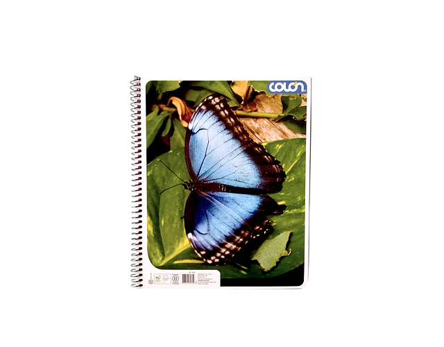 CUADERNO UNIVERSITARIO 100HJS MAT7MM LITO BASIC