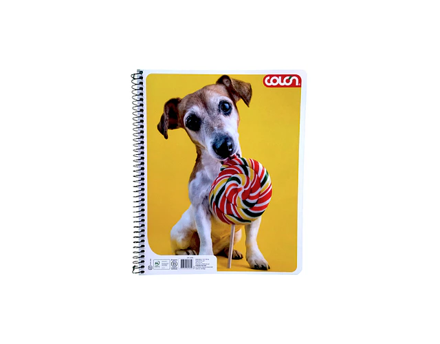 CUADERNO UNIVERSITARIO 100HJS MAT7MM LITO BASIC