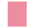 CARPETA PERFORADA 6 DISEÑO 20X30CM