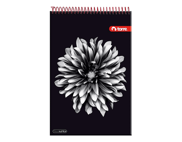 CROQUERA 21X32 BLACK&WHITE 80 HOJAS