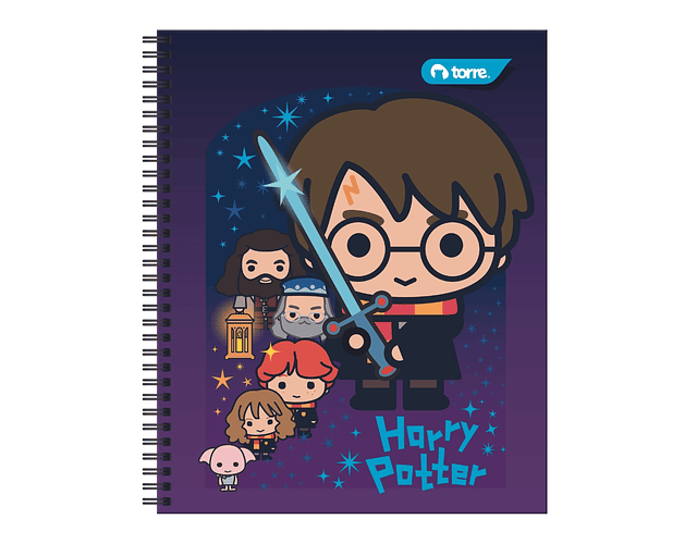 CUADERNO UNIVERSIDAD HARRY POTTER 2 100 HOJAS