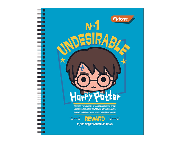 CUADERNO UNIVERSIDAD HARRY POTTER 2 100 HOJAS