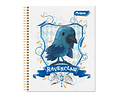 CUADERNO UNIVERSIDAD HARRY POTTER 2 100 HOJAS