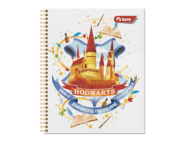 CUADERNO UNIVERSIDAD HARRY POTTER 2 100 HOJAS