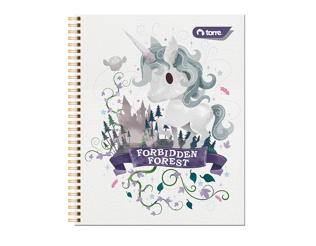 CUADERNO UNIVERSIDAD HARRY POTTER 2 100 HOJAS