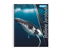 CUADERNO UNIVERSITARIO FAUNA 100 HOJAS MAT 7MM