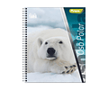 CUADERNO UNIVERSITARIO FAUNA 100 HOJAS MAT 7MM