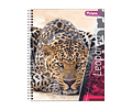CUADERNO UNIVERSITARIO FAUNA 100 HOJAS MAT 7MM
