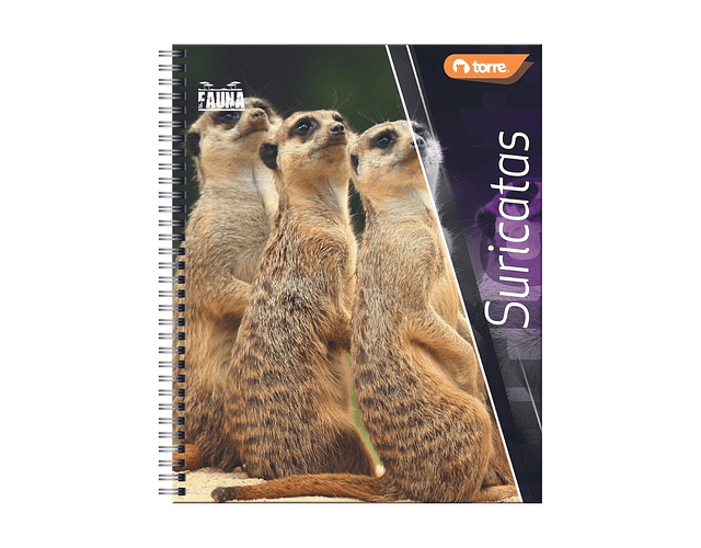 CUADERNO UNIVERSITARIO FAUNA 100 HOJAS MAT 7MM