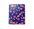 CUADERNO UNIVERSITARIO 100 HJS MAT. 7MM FEMENINO