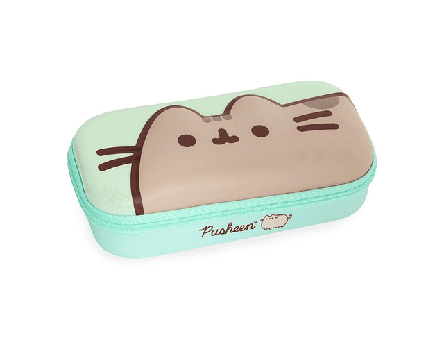ESTUCHE BOX PUSHEEN 