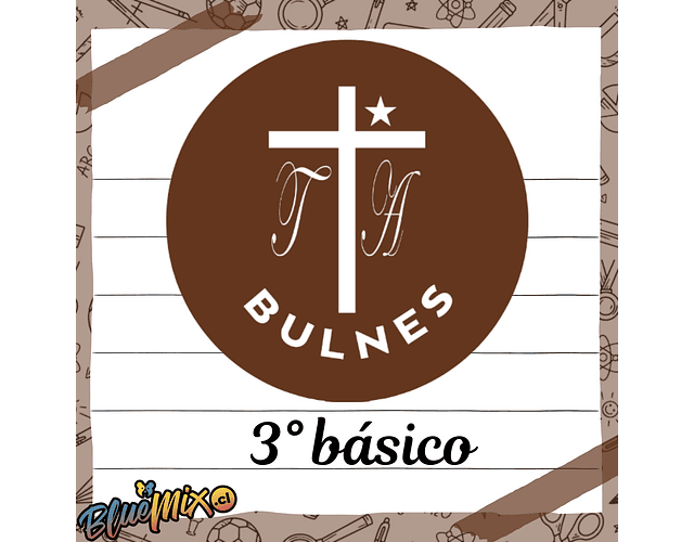 TERESA DE LOS ANDES - BULNES - 3° BÁSICO-2026