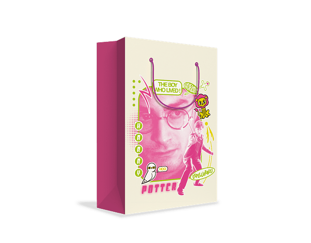 BOLSA DE REGALO HARRY POTTER M 