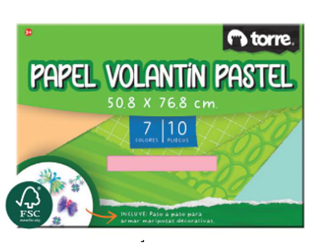 CARP.ESCOLAR PAPEL VOLANTÍN PASTEL 10HJS.