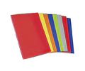 CARPETA PLASTIFICADA CON ARCHIVADOR RHEIN - DIFERENTES COLORES