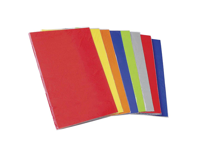 CARPETA CON ARCHIVADOR PLASTIFICADA INZUNZA  - DIFERENTES COLORES