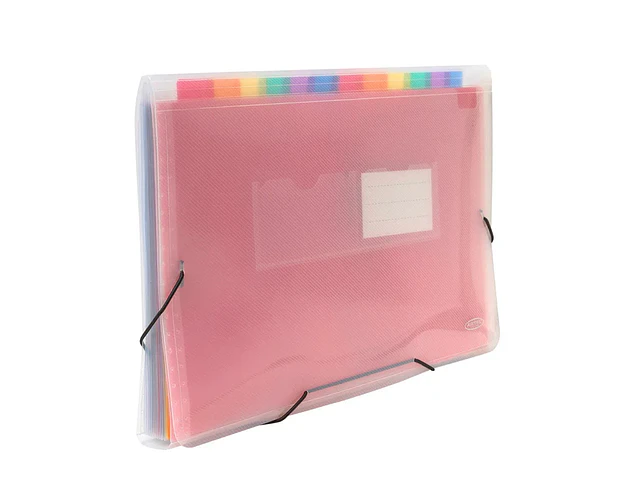 CARPETA TRANSPARENTE CON FUELLE OFICIO
