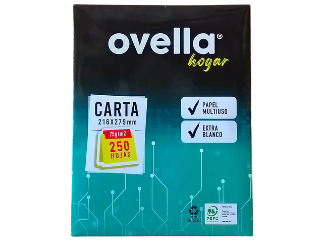 RESMA CARTA HOGAR 75GRS 250 HOJAS