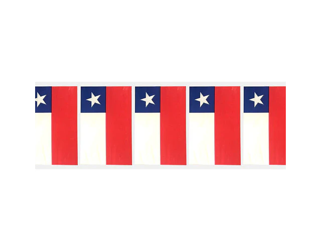 BANDERA PLASTICA TIRA DE 10 MTS.