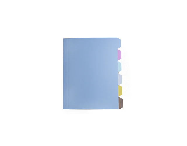 SEPARADOR CARTA 6 DIVISIONES COLORES