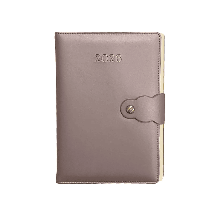 Agenda Layconsa Vintage Rosa Metalico C/Liga  1