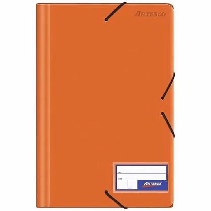 FOLDER ARTESCO C/LIGA OF PLASTICO SURTIDO 1