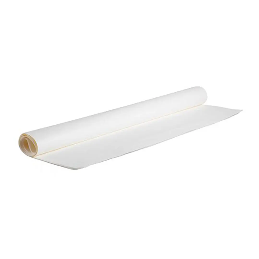 PAPEL MANTEQUILLA CANSON  70 X 100  1