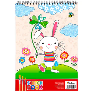 SKETCH BOOK IRIS COLOR  X50 HJS   C/MARCO  ANILLADO