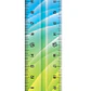 REGLA MAPED   X 30 CM DECORADA FLEX TWIST     279315 - Miniatura 2