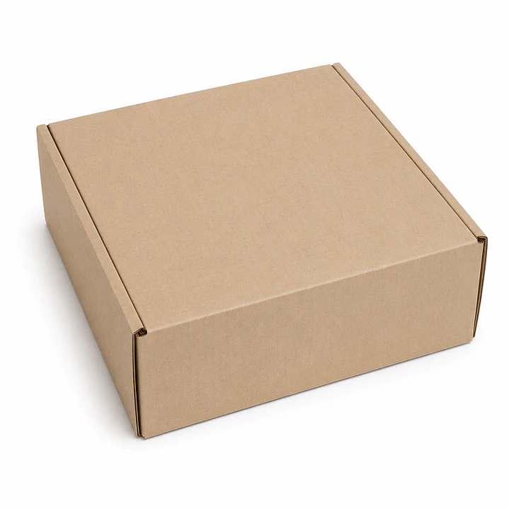 CAJA P/E-COMMERCE #C25   25X25X9 1