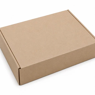 CAJA P/E-COMMERCE #20   20X14X6