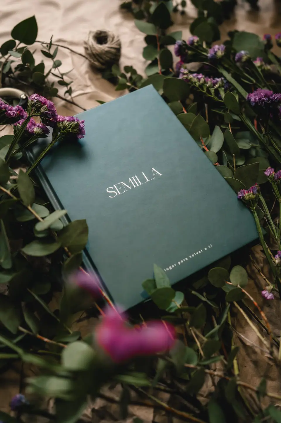 Journal Semilla  3