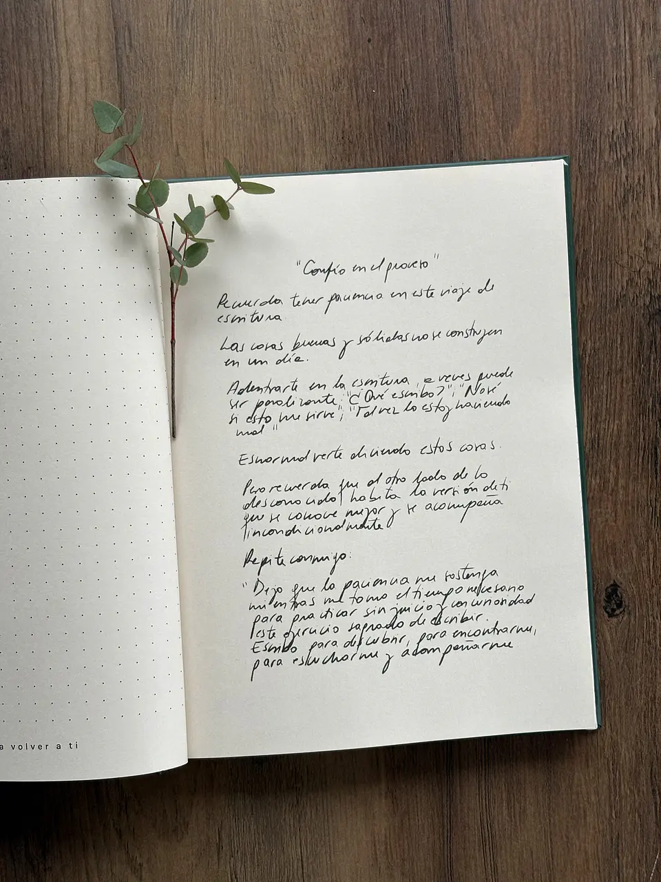 Journal Semilla  6