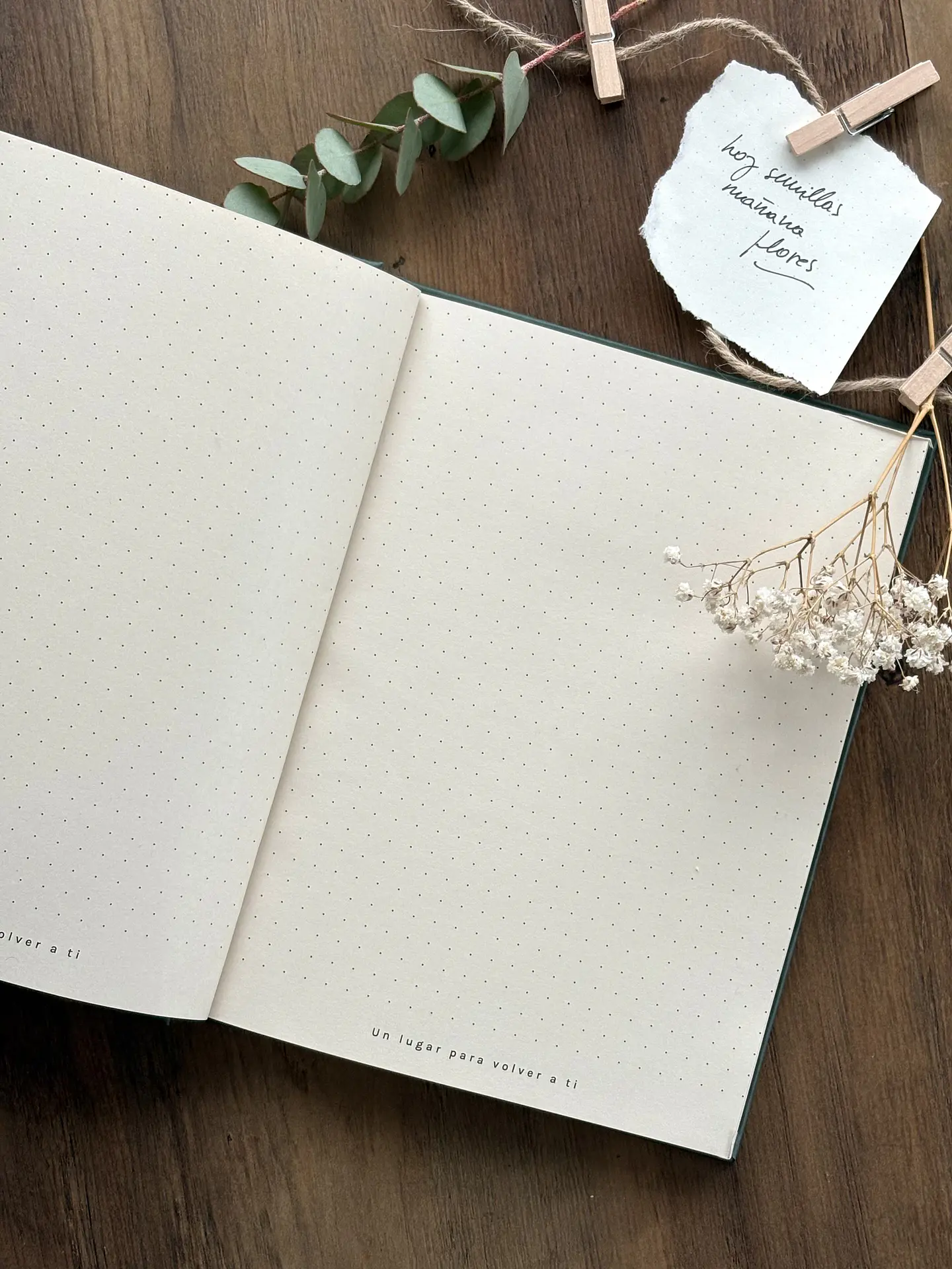 Journal Semilla  4