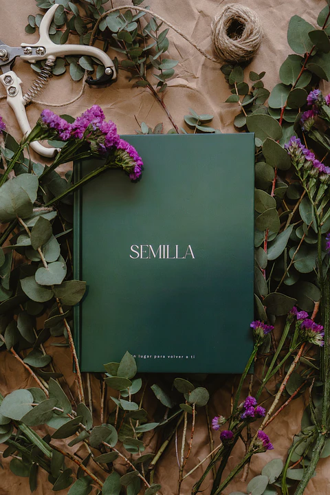 Journal Semilla 