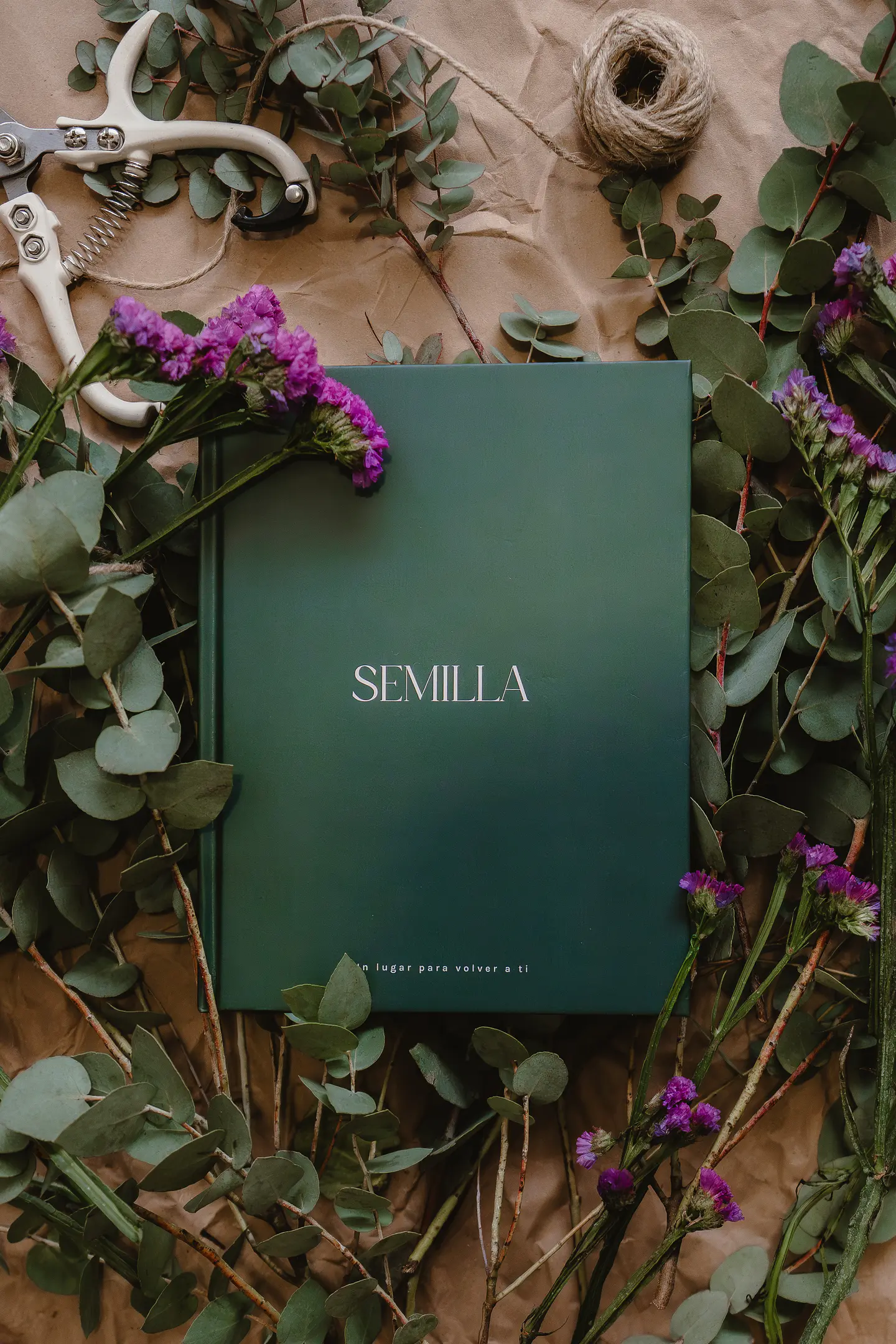 Journal Semilla  1