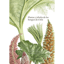 Plantas Y Arboles De Los Bosques De Chile