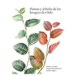 Plantas Y Arboles De Los Bosques De Chile  Tapa Blanda