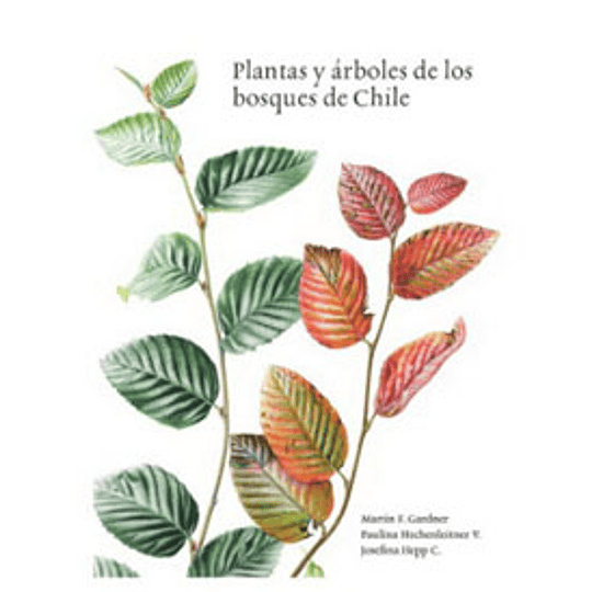 Plantas Y Arboles De Los Bosques De Chile  Tapa Blanda
