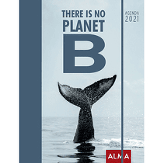 There Is No Planet Agenda 2021