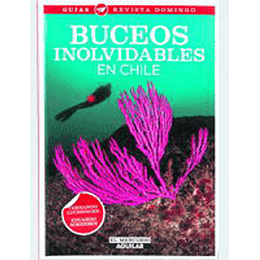 Buceos Inolvidables En Chile