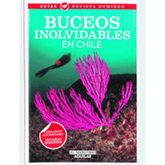 Buceos Inolvidables En Chile