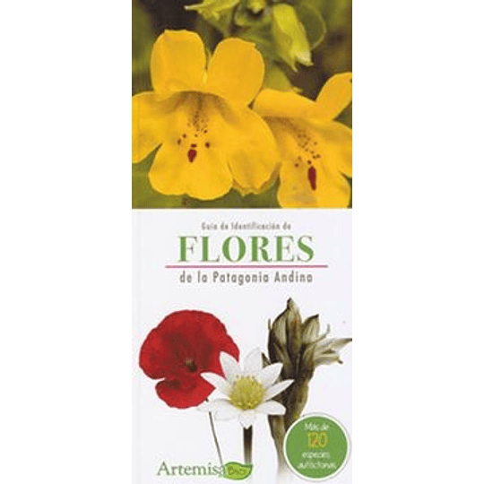 Guia De Identificacion De Flores De La Patagonia Andina