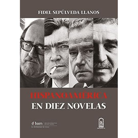 Hispanoamerica En Diez Novelas